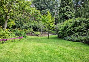 Optimiser l'expérience du jardin à Beauvoir-en-Royans